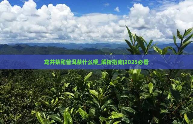龙井茶和普洱茶什么梗 龙井茶和普洱茶什么梗