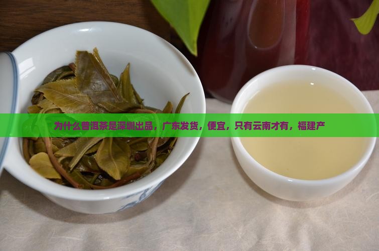 为什么普洱茶是深圳出品 为什么普洱茶是深圳出品