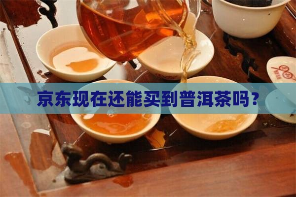 京东现在还能买到普洱茶吗