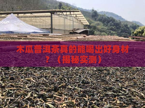 木瓜普洱茶有什么功效作用