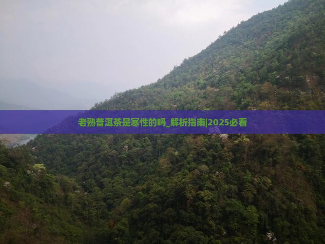老熟普洱茶是寒性的吗