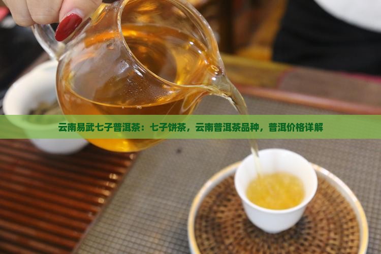 云南易武七子普洱茶