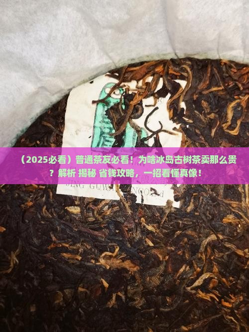 为啥冰岛古树茶那么贵