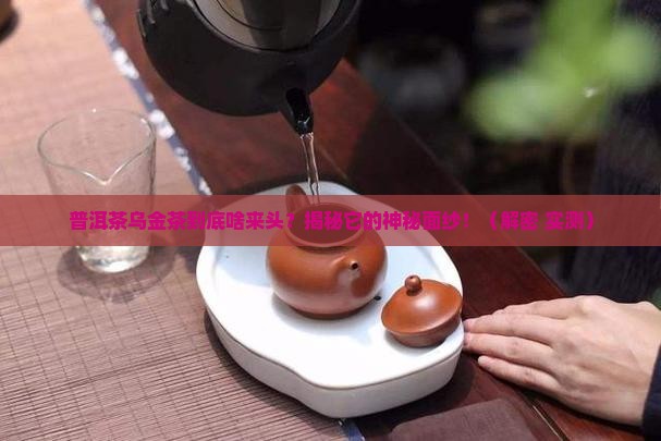 普洱茶乌金茶介绍