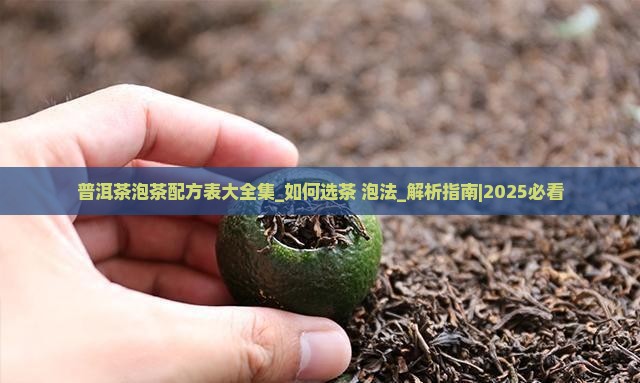 普洱茶泡茶配方表大全集