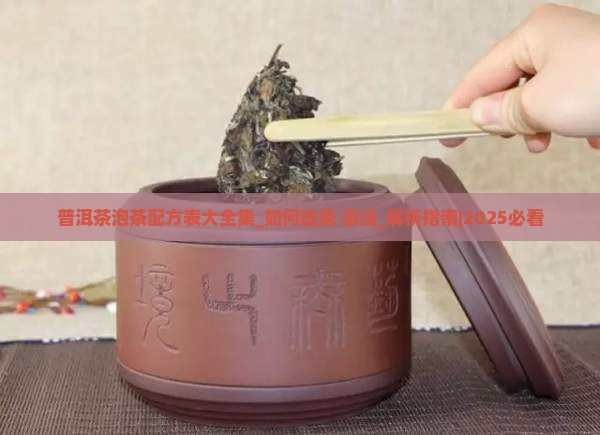普洱茶泡茶配方表大全集