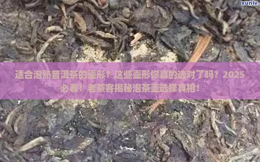 适合泡熟普洱茶的壶形