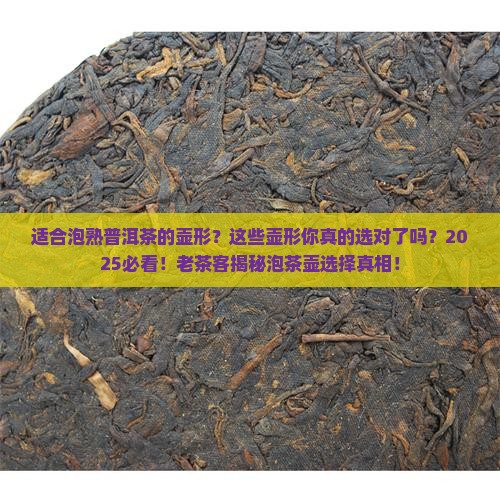 适合泡熟普洱茶的壶形