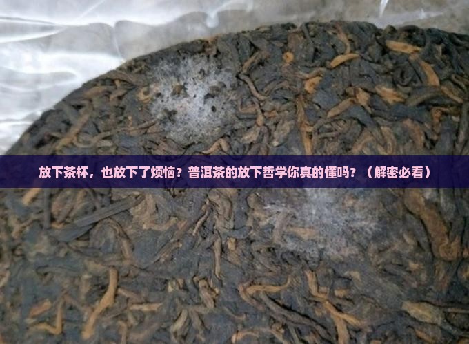 普洱茶关于放下