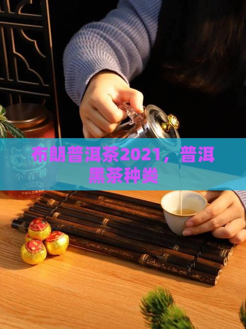 金布朗普洱茶2021
