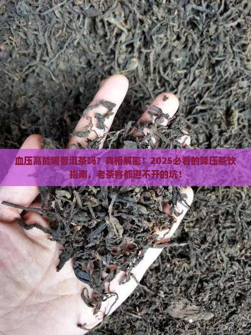 普洱茶血压高能和麻