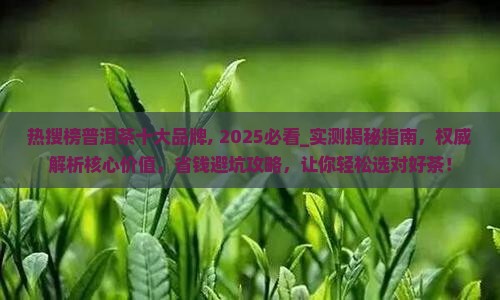 热搜榜普洱茶十大品牌 热搜榜普洱茶十大品牌