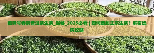 痴味号春韵普洱茶生茶