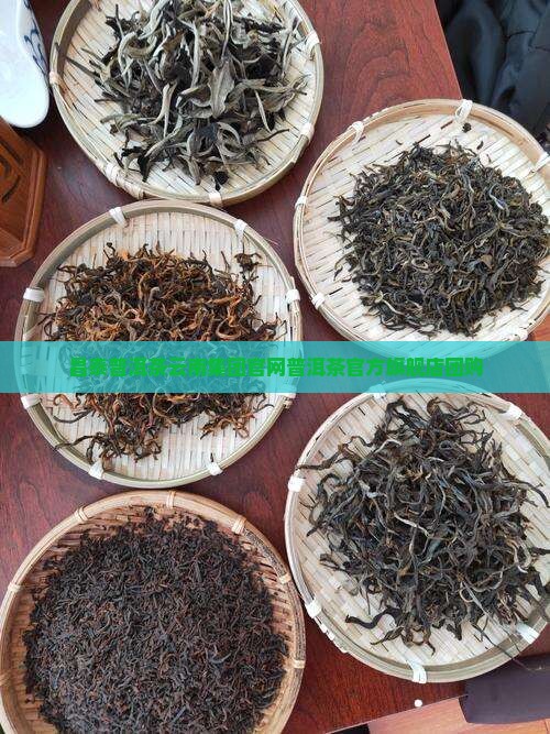 昌泰普洱茶官方旗舰店团购