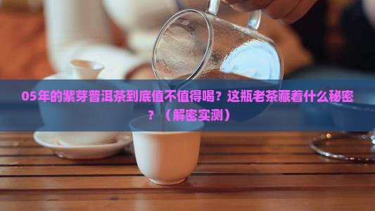 05年的紫芽普洱茶怎么样