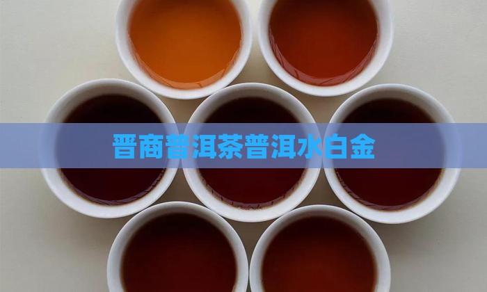 晋商水白金普洱茶