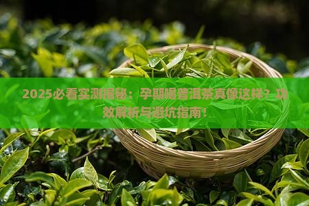 孕妇普洱茶功效作用是什么