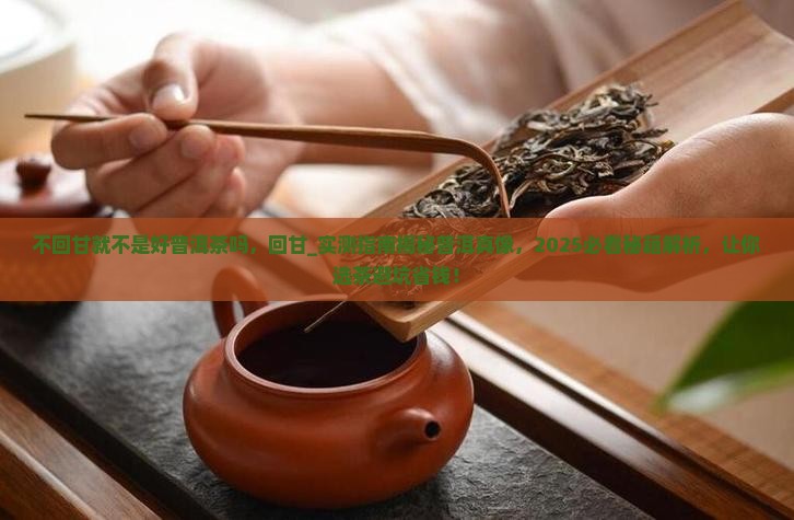 不回甘就不是好普洱茶吗