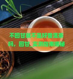 不回甘就不是好普洱茶吗