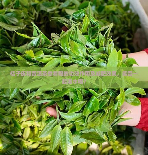 桔子皮和普洱茶煮着喝