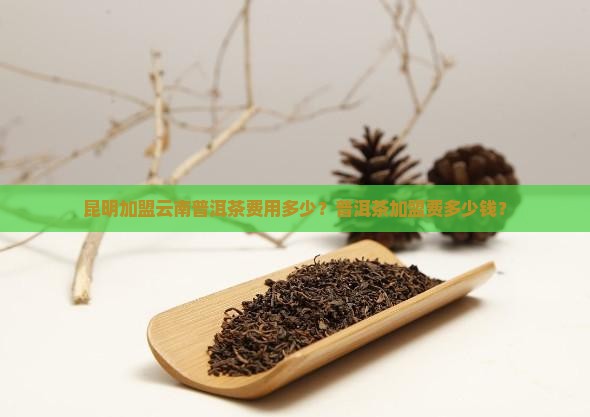 昆明加盟普洱茶要多少钱