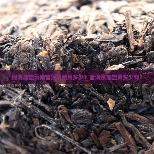 昆明加盟普洱茶要多少钱