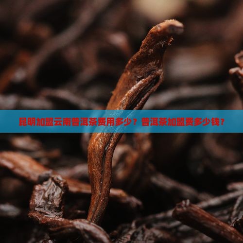 昆明加盟普洱茶要多少钱