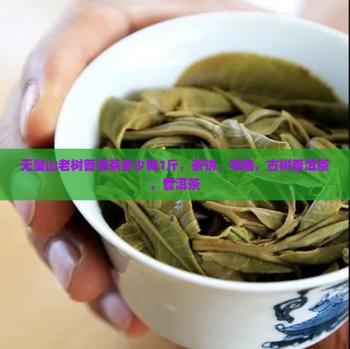 无量山老树普洱茶