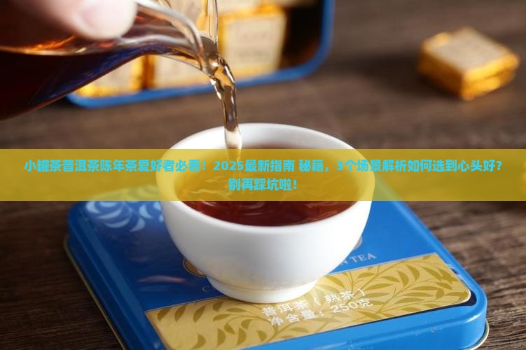 小罐茶普洱茶陈年茶