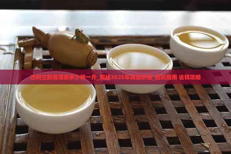 古树兰韵普洱茶多少钱一斤