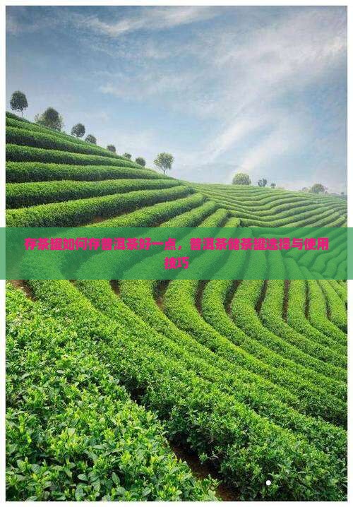 存茶罐如何存普洱茶好一点