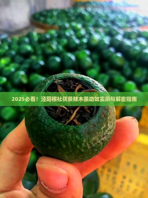 泾阳根社茯茶辣木茶的功效