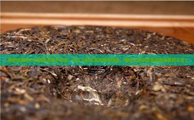 不适宜普洱茶体制
