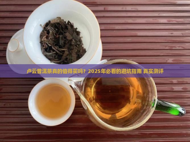 卢云普洱茶怎么样