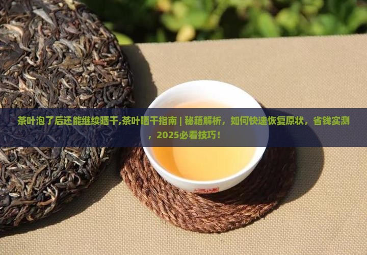 茶叶泡了后还能继续晒干