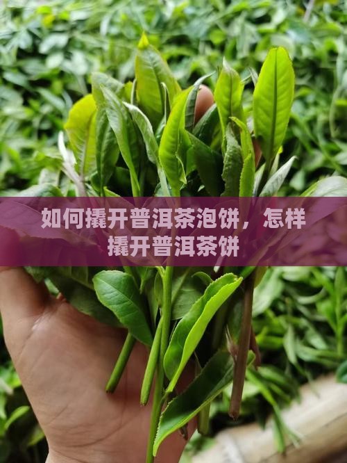 如何撬开普洱茶泡饼