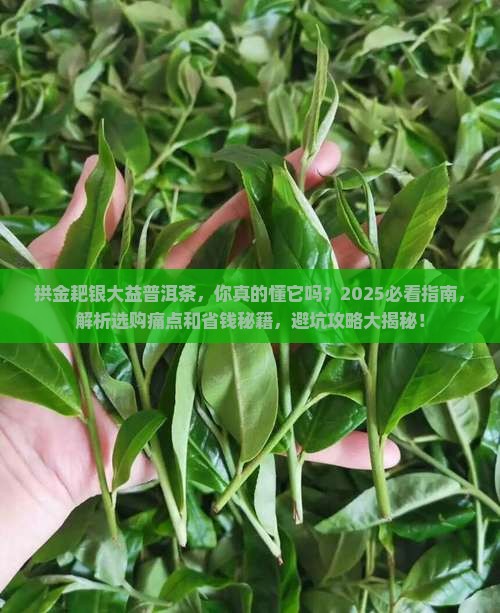 拱金耙银大益普洱茶