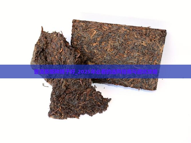 普洱茶哪种牌子好