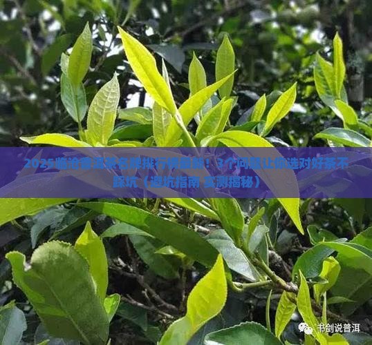 临沧普洱茶名牌排行榜最新