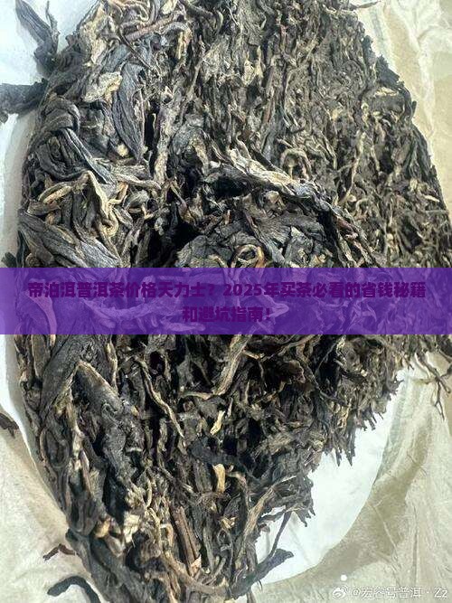 帝泊洱普洱茶价格天力士