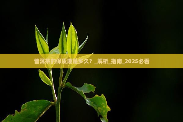普洱茶的保质期是多久