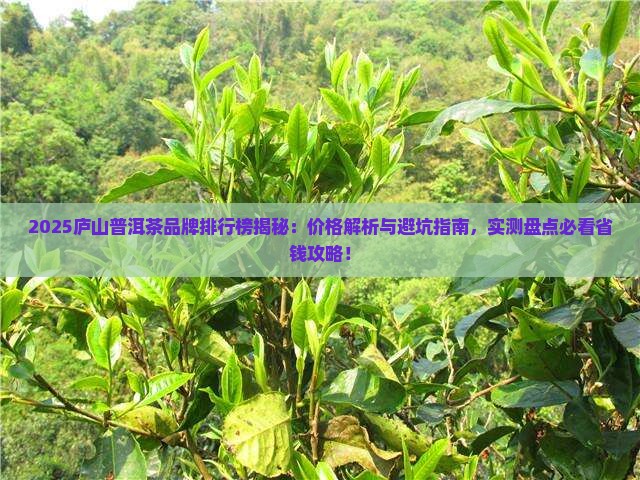 庐山普洱茶品牌排行榜及价格