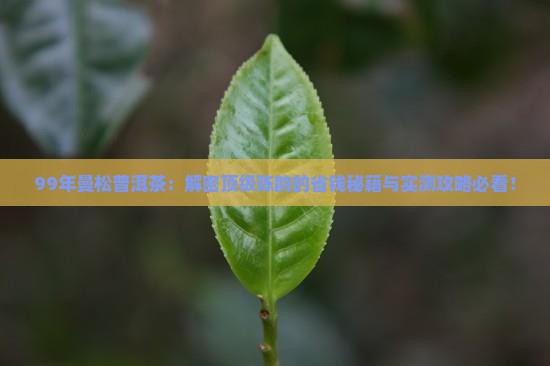 99年曼松普洱茶