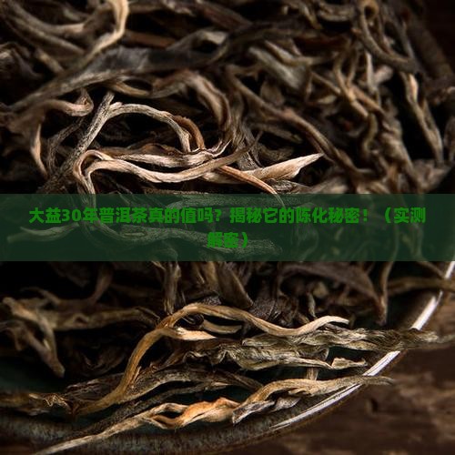 大益30年普洱茶