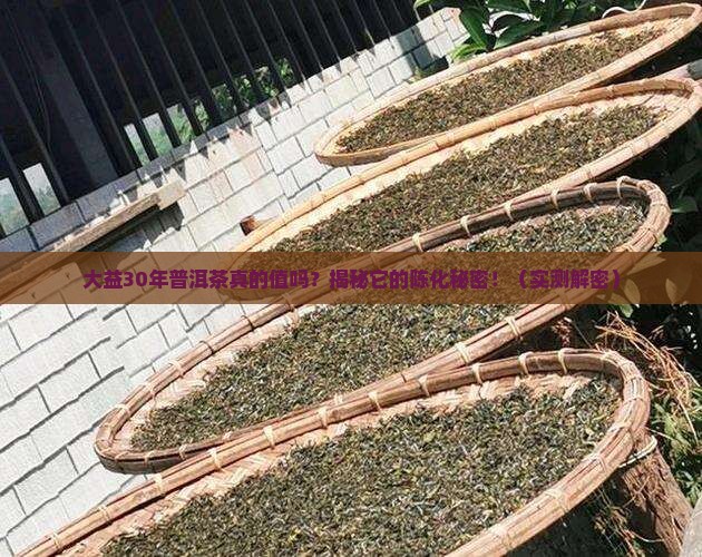 大益30年普洱茶