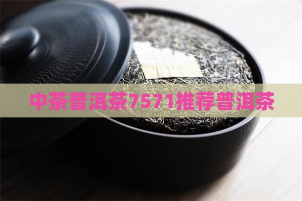 中茶普洱茶7571