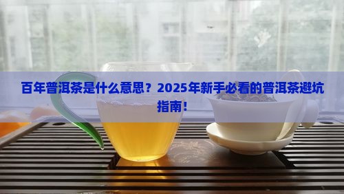 百年普洱茶是什么意思