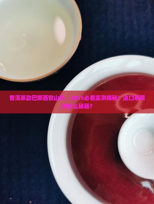 普洱茶勐巴娜西官山号