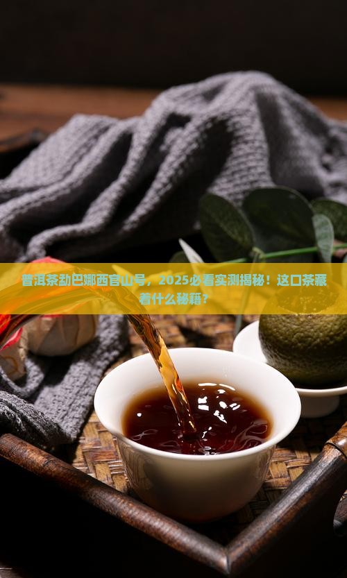 普洱茶勐巴娜西官山号