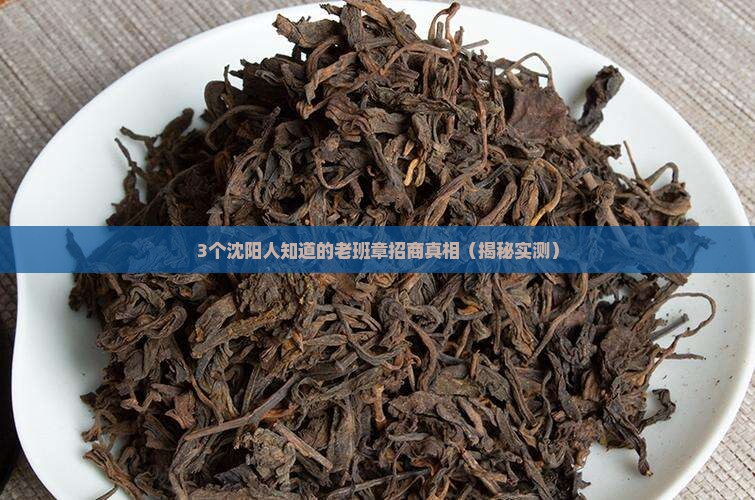 沈阳口碑好的老班章招商
